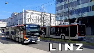 Busse in Linz, AT