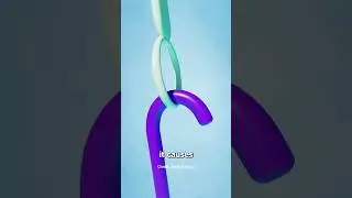 How Velcro works 🤨 