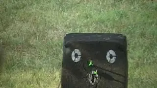 Mathews z7 VS Mathews Reezen