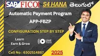 Automatic Payment Program (APP) Configuration in SAP FICO S/4HANA