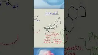 Why are estrogens in everything?