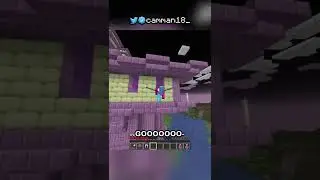 i loaded the end in the overworld...