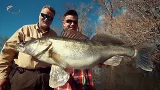 Swisscat 20 - Horgász csónak / Official fishing boat advertisement