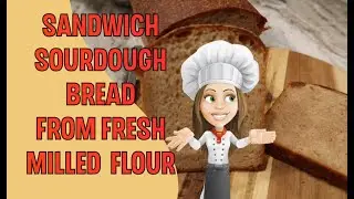 One Day Sourdough Sandwich Bread from Fresh Milled Flour