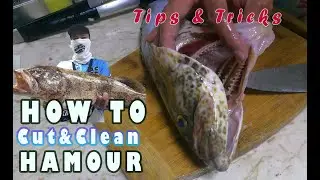 Hamour Fish Cleaning Tutorial | FishWorld TV