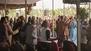 አረካ ቤቴል 2017