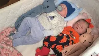 Rutina de tarde con mis bebés reborns Emilio y Renata!
