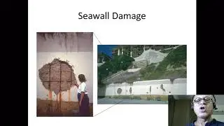 16   Seawalls and Alternatives to Hard Stabilization