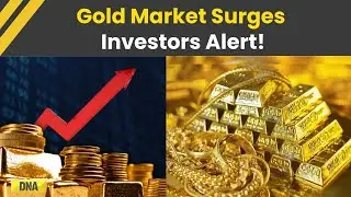 Gold Price Hike: Gold Hits New Highs On MCX As Fed Rate Cut Speculations Rise
