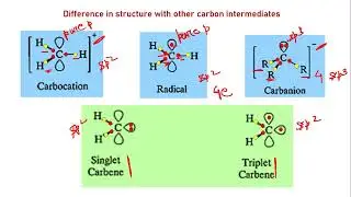 Types & Structure of Carbenes | Carbene Chemistry &ndash; Part 1