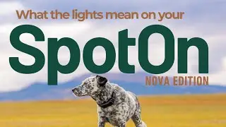 SpotOn GPS Dog Fence | Nova Edition: What Your Collar Lights Mean #DogSafety #PetTech #DogTraining