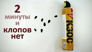 К300 убил всех клопов за 2 минуты