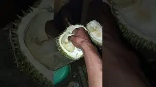 #malamini#makandurian