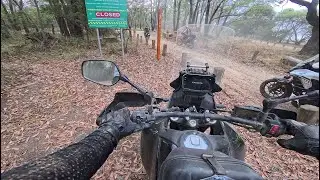 Pauls Range State Forest Toolangi Adventure Riding