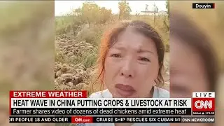 900 million Chinese affected by historic heatwave and drought