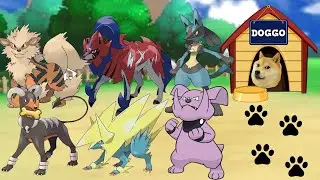 WHO LET THE DOGS OUT ON POKEMON SHOWDOWN?!! 🐶