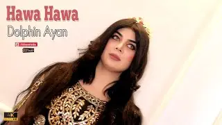 Dolphin Ayan best dance Hawa Hawa Pashto Urdu Mix ! KPStudio