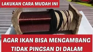 cara membuat setrum ikan nila agar ikan bisa mengambang dengan mudah
