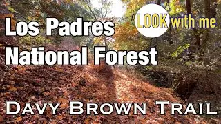 Hiking and Camping on the Davy Brown Trail in Los Padres National Forest