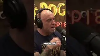 Did They Ever Find Alligators in the New York City Sewers? #shorts #joerogan #joeroganpodcast