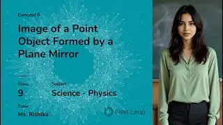 Image of a Point Object by a Plane Mirror | Class 9 Physics | Reflection of Light