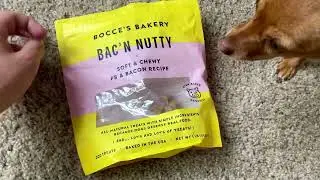 Bocce's Bakery Oven Baked Bac'n Nutty Treats for Dogs REVIEW