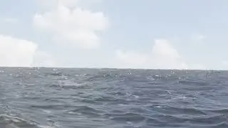 Blender eevee ocean test_001