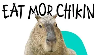 The KACIPBARA Ate My Chickens?!