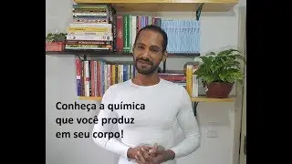 A Química do Corpo (Como geramos os comportamentos e as doenças)