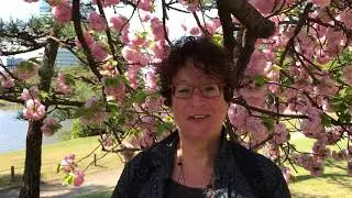 Guest Reviews: Beth in Japan with AdventureWomen