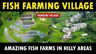 Fish Farming in Hilly Areas | Fisheries Department, Pithoragarh | Dungri village | Biofloc Fish Farm