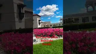Best mandir#hariom #canada#mediation
