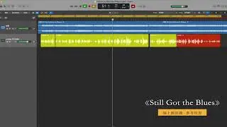 《Still Got the Blues》｜口琴線上團班課，參考吹奏｜[ DMing Studio ]