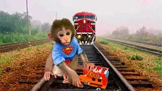 Bon Bon Monkey on train track try stops gas train and escaped funny vfx video editing