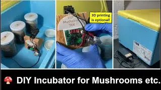 3.2 - DIY Heating System for Incubator