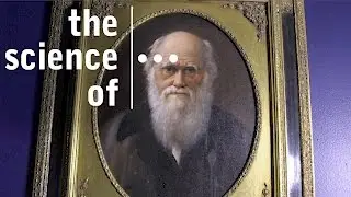 Fossils... Scientists... History  (Darwin & Dinosaurs)