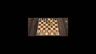 #sbo #sbotvm #workfromhome chess gameplay in mobile and support me by liking the video 