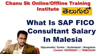 Average SAP FICO Consultant  Salary In Malaysia -Sap Fico Telugu Tutorials -Sap Fico In Telugu