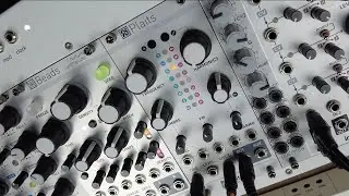 Mutable Instruments Plaits DX7 Model