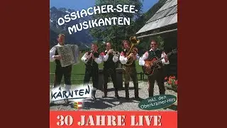 Slowenische Grüße (Live)