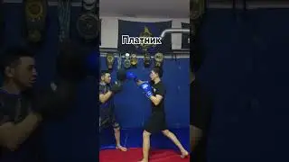 Типы тренировка с тренером