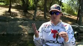 Unlock Winter Spotted Bass Fishing Secrets with Cody Meyer | Expert Jig & Dropshot Guide