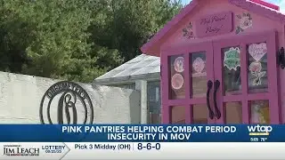 Parkersburg woman builds pink pantries to fight period poverty
