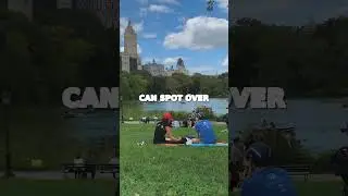 Central Park Serenity: Urban Oasis in the Heart of NYC! 🍃🏞️