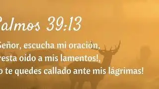 Salmos 39. Guarda silencio ante el imp&iacute;o!!
