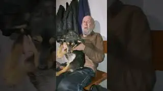 джени кити