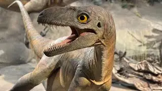 Drumheller, AB 2025 #canada #drumheller #dinosaur #history #fossil #trip #reels #shorts #alberta