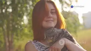 10 Signs Your Cat Adores You!