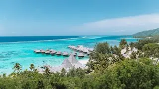 Jak mieszkamy w Polinezji Francuskiej? Moorea [4K]
