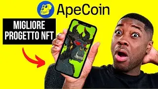 Cos'&egrave; Apecoin? | BAYC La Migliore Collezione NFT